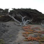 Cambria_0572 (November 02, 2013)